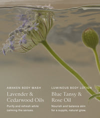 Travel Silk Body Duo