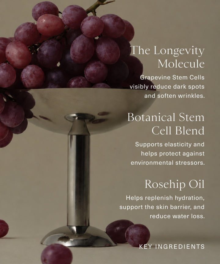 Antioxidant Hand Serum