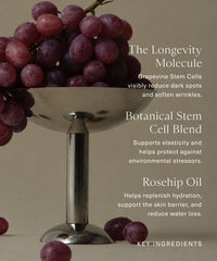 Antioxidant Hand Serum