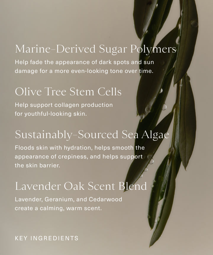 Dew Body Butter