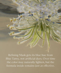 Refining Mask
