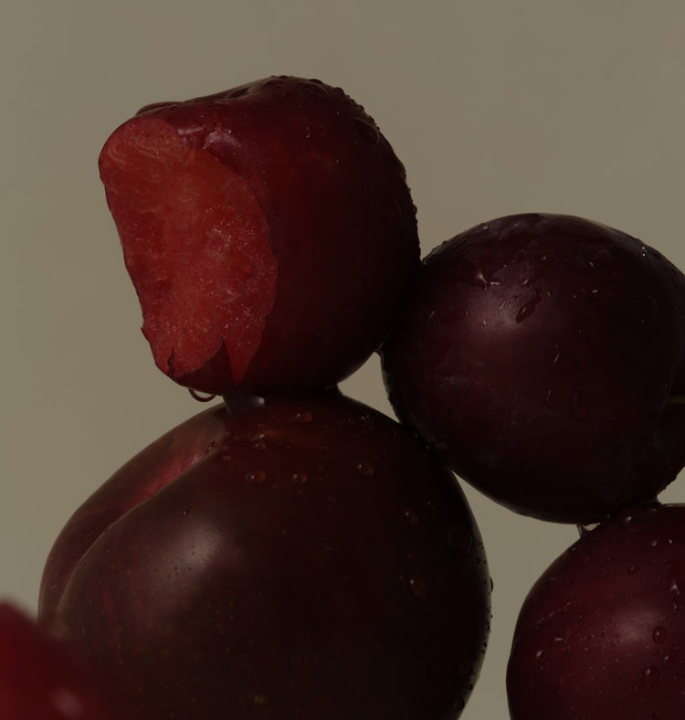 Moisture Rich Emulsion - Key Ingredients
