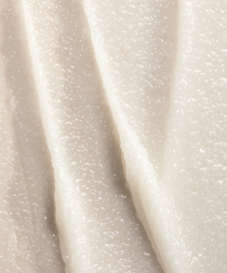Conditioning Lip Balm - Key Ingredients