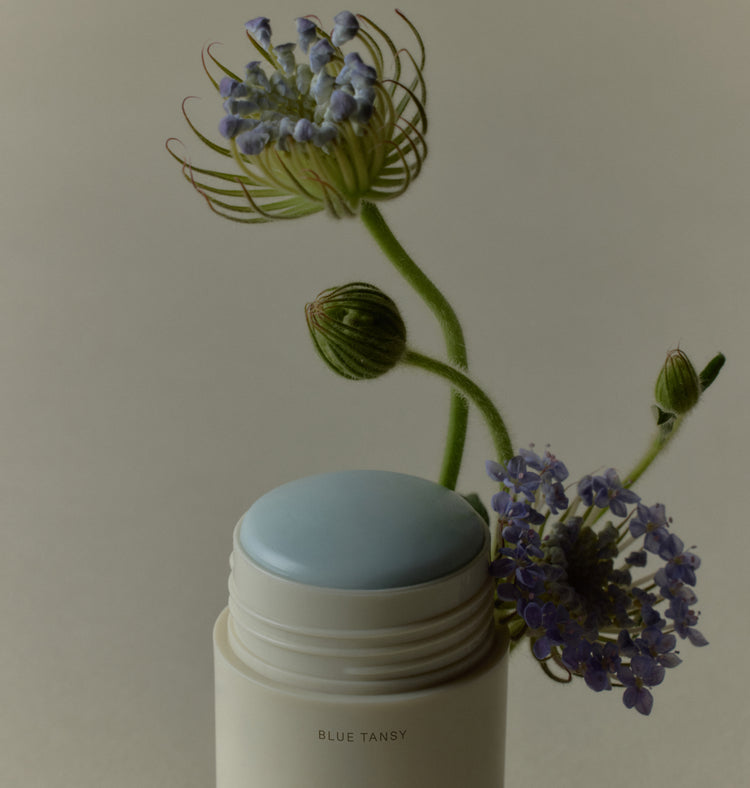 Microbiome Balancing Deodorant - Key Ingredients